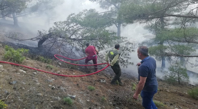 Ormanlık alanda korkutan yangın !