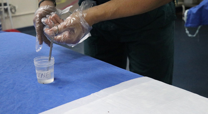 Yaz aylarının korkulu rüyasına dikkat!