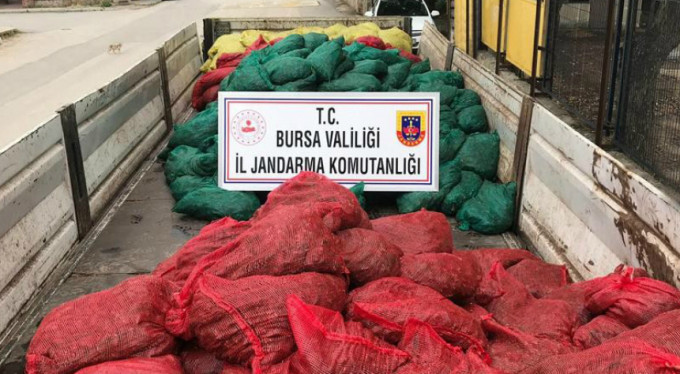 Bursa'da 'midye' operasyonu: 14 gözaltı