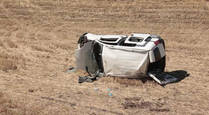 Köpeğe çarpmamak için tarlaya uçtu!