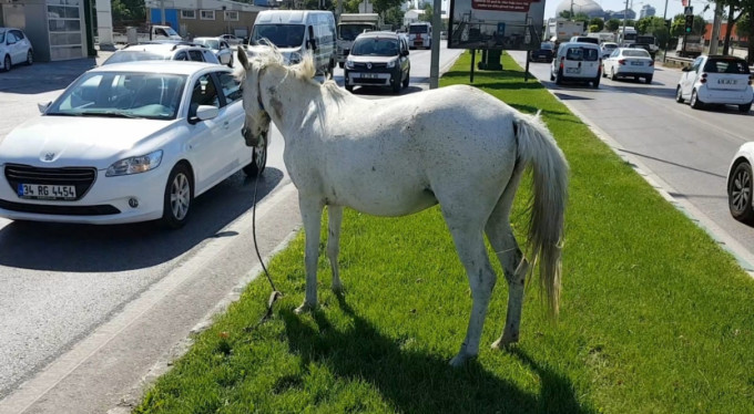 Bursa'da tehlike saçıyorlar!