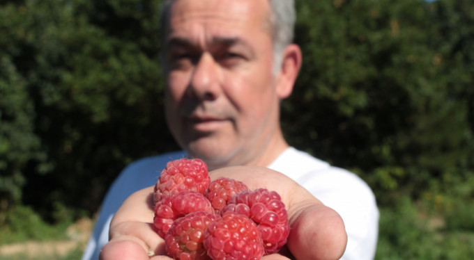Bursa'da hasadı başladı! İşte fiyatı...