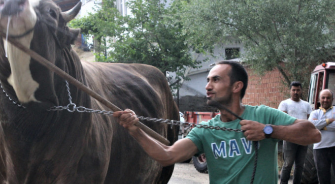 Bursa'da 45 bin liraya satışta!