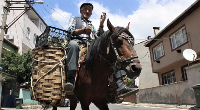 82'lik atlı dededen organik sebze servisi