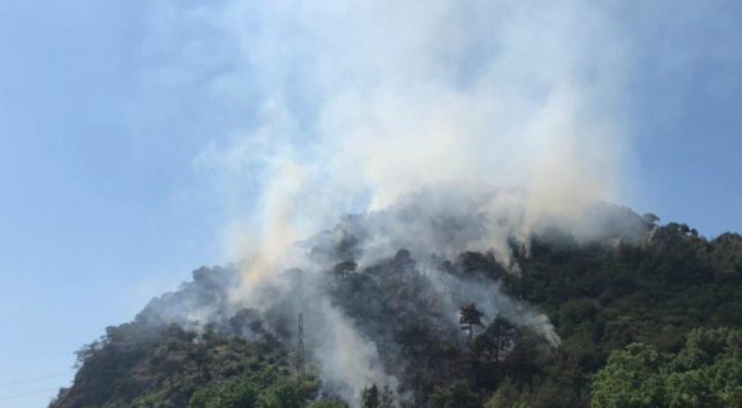 Bursa'da orman yangını!