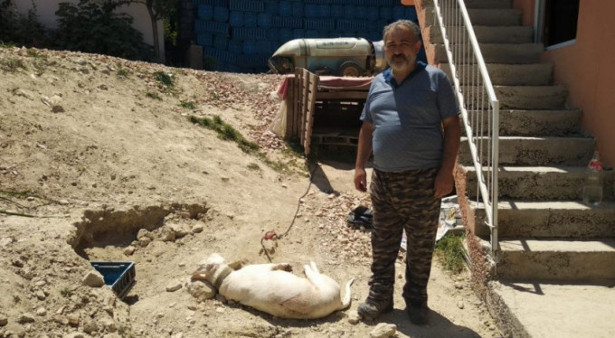 Bunun adı vahşet! Yer Bursa...