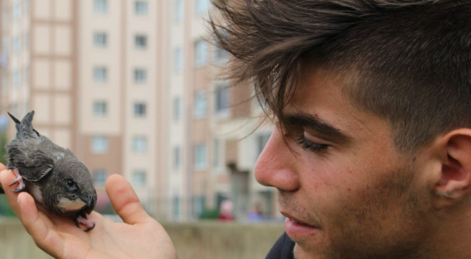 Parkta otururken neye uğradıklarını şaşırdılar!