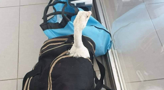 Bursa'da otobüste bakın ne unuttu!