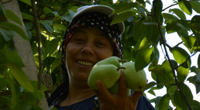 Fiyatı yüzleri güldürdü! Yer Bursa...