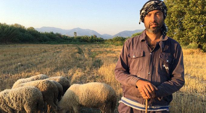 Siyaseti bıraktı, çobanlık yapıyor!