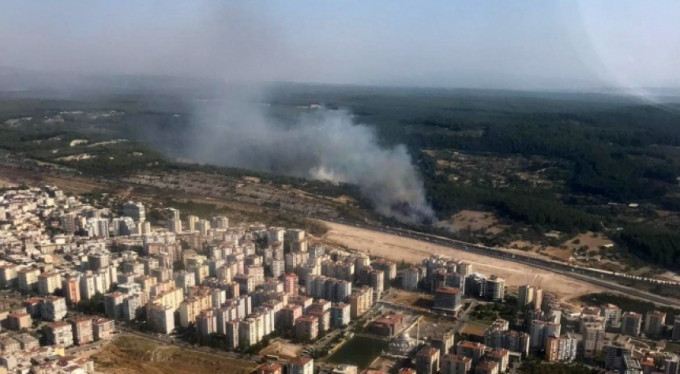 Kamyon yangını ormana sıçradı!