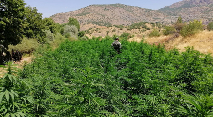 Teröre büyük darbe!