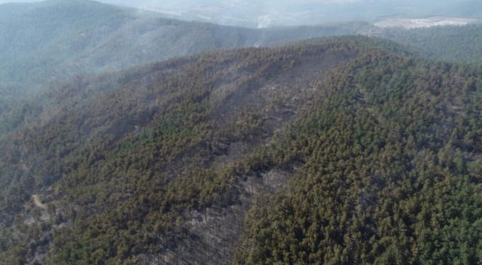 İşte Bursa'daki facianın fotoğrafı!