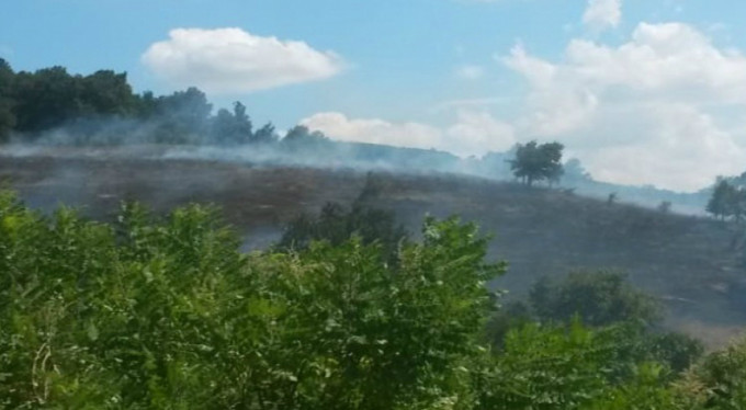 İşte Gemlik'teki orman yangınında son durum!