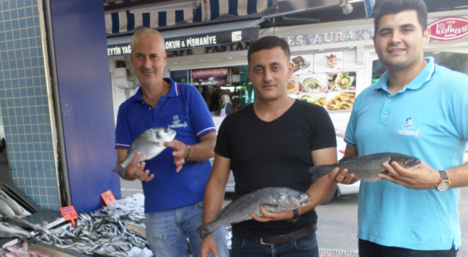 Bursa'da balık fiyatları cep yakıyor!