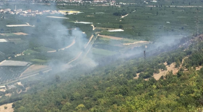 Bursa'da bir orman yangını daha!