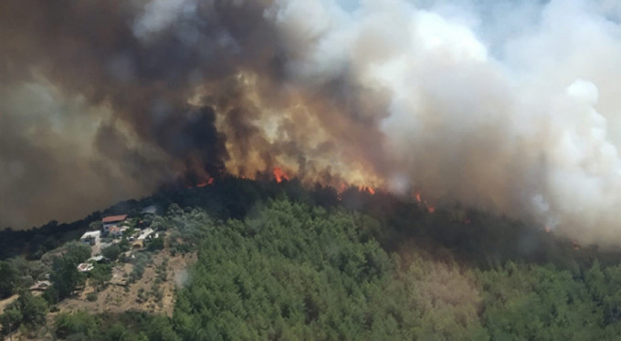 İşte Bodrum'daki yangında son durum!