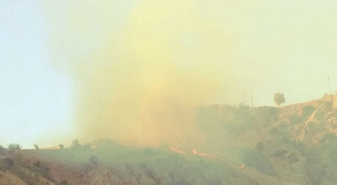 Bursa'da yine orman yangını!