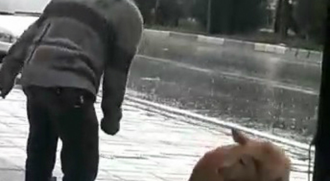 Bunu yapan insan olamaz! Yer Bursa...