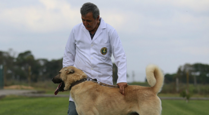 Kapış kapış satılıyor! 15 ay sıraya bekliyorlar...