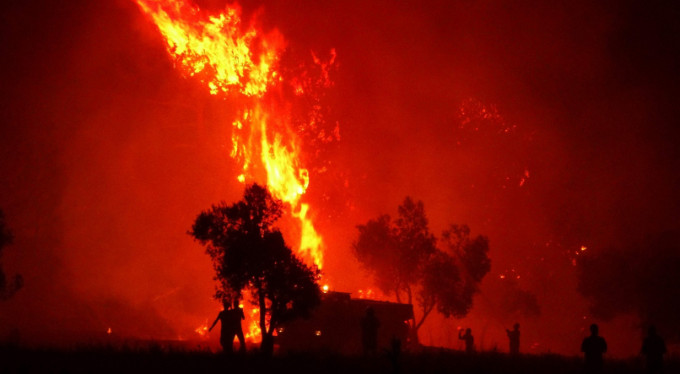 Bir ayda 300 orman yangını!