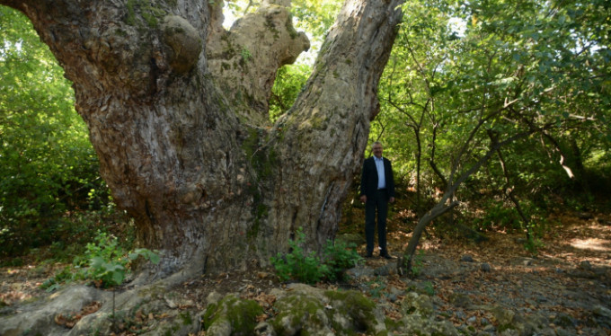Bursa'da bulundu! Bin 100 yıllık...