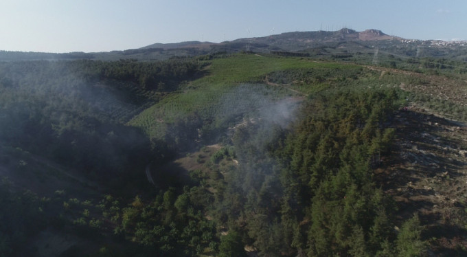 Bursa'nın yine ciğerleri yandı!