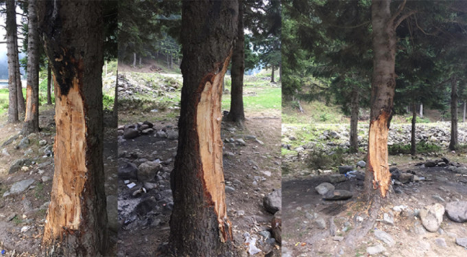 5 liralık çıra için bunu yaptılar...