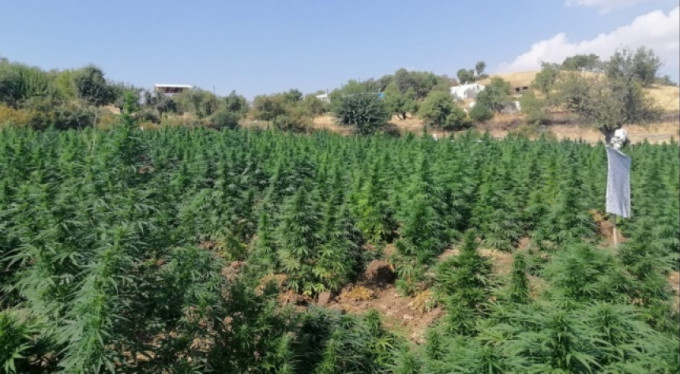 Terör örgütünün finans kaynağına büyük darbe!