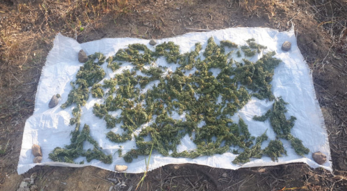 Bursa'da suç üstü yakalandılar!