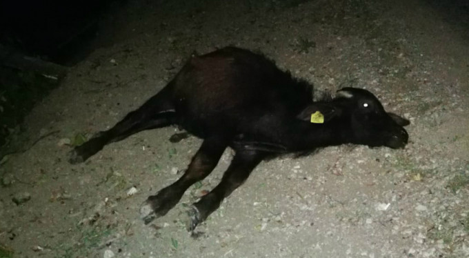 Bursa'da kamyon dehşeti!