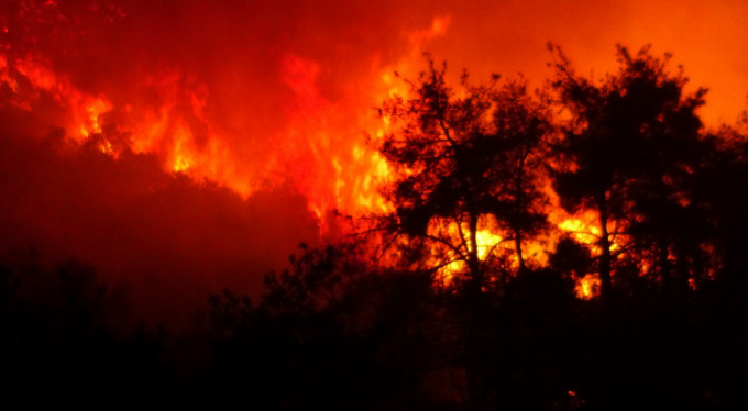 Bursa'da orman yangını!