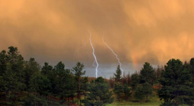 Düşen yıldırım ormanı yaktı!