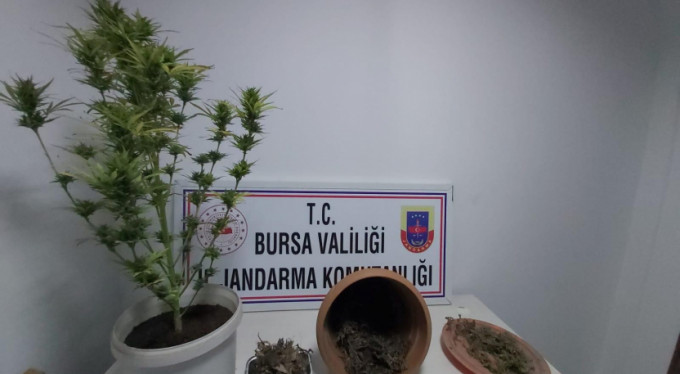 Bursa'da lokantadan bakın ne çıktı!