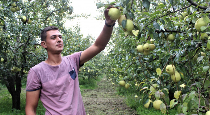 Bursa'da hasadı başladı! İşte fiyatı...