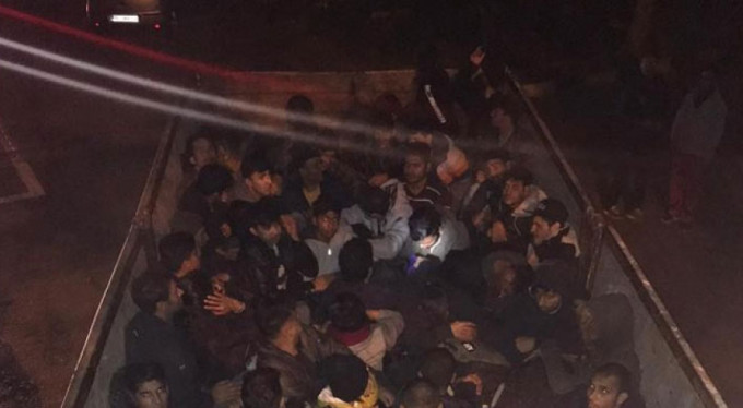 'Koyun' dedi, mülteci çıktı!