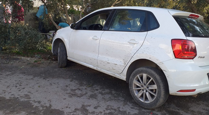 Kazayı bırakıp zeytin topladılar