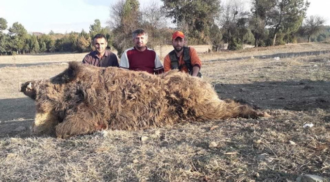 Bursa'da görenler gözlerine inanamadı!
