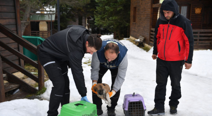 Uludağ'da donmak üzereydiler...