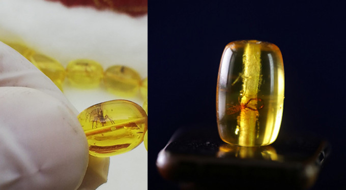 Bu tespihler el yakıyor