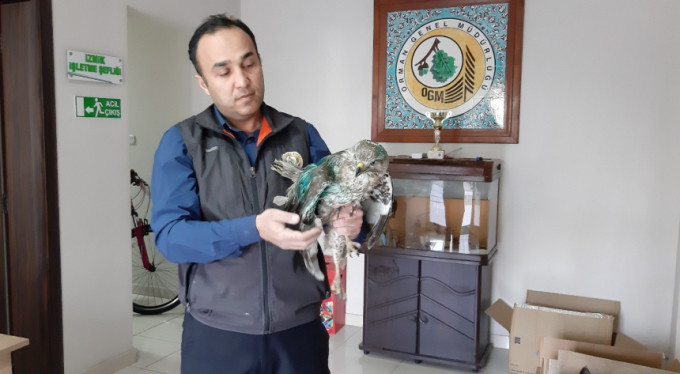 Bunlar insan olamaz! Yer Bursa...