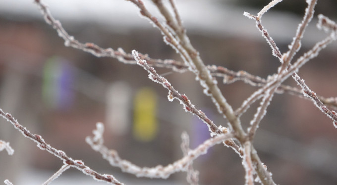 O il buz tuttu! -27...