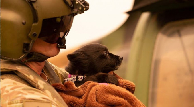 Acı bilanço artıyor! Eylül ayından beri...