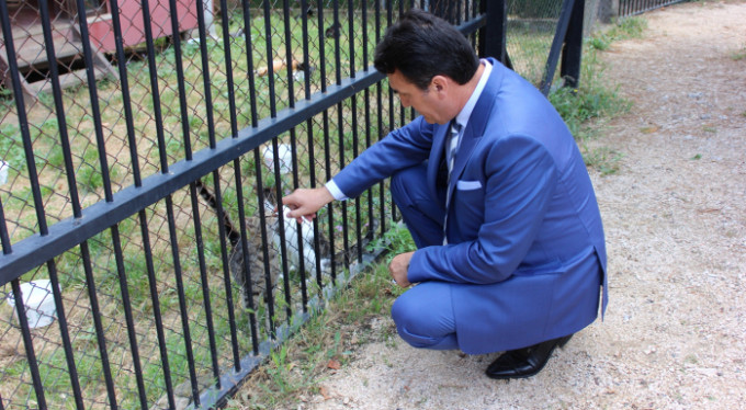 Osmangazi'de can dostlar sahipsiz değil