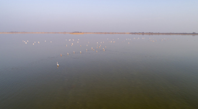 Bursa'da nüfusları arttı!