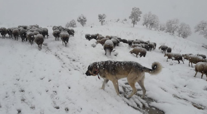 Bursa'da kar sürprizi!