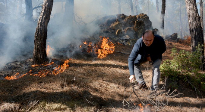 Kış ortasında orman yangını!