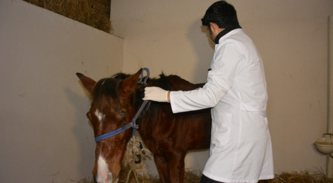 Bursa'da büyük vicdansızlık!