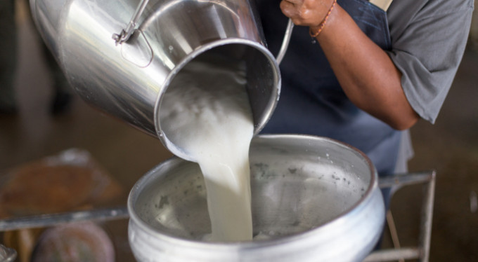 Açık sütte verem riski!