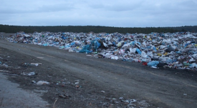 Çöplükte korkunç manzara! 21 tanesi ölü bulundu